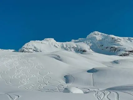 Yoga Nidra - Releasing Stuck Emotions