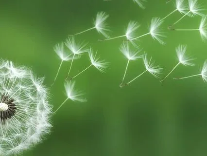 Yoga Nidra — Releasing The Old, Welcoming The New