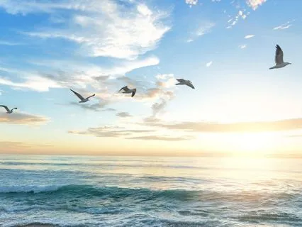 Yoga Nidra Resolution Visualization For 2026 In 60 Minutes