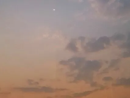 Yoga Nidra: Rest And Revitalize