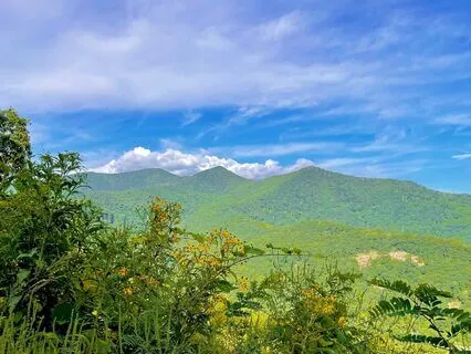 Yoga Nidra: Rest, Reset & Reconnect