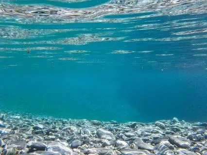 Yoga Nidra: Restful Sleep Meditation