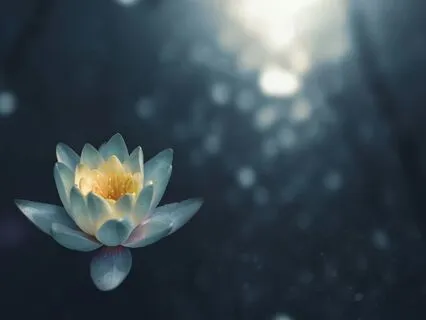 Yoga Nidra Resting Deeply