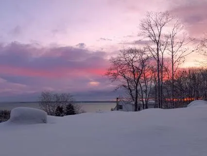 Yoga Nidra: Resting In Love & Deep Belonging