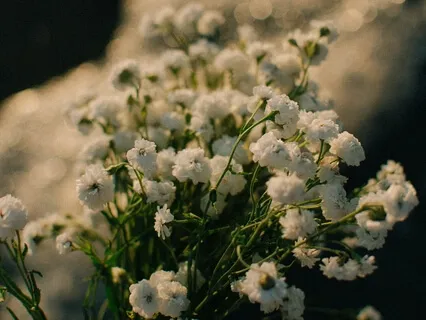 Yoga Nidra | Resting In Self Love