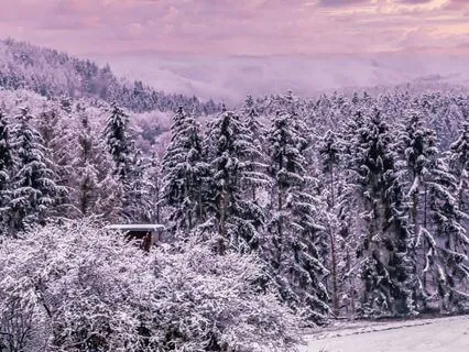 Yoga Nidra Resting Into The Winter Solstice