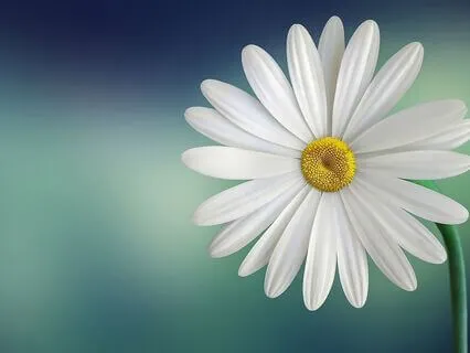 Yoga Nidra: Restoring Radiance