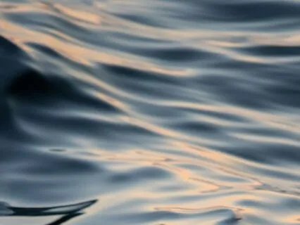 Yoga Nidra: Restoring The Nervous System