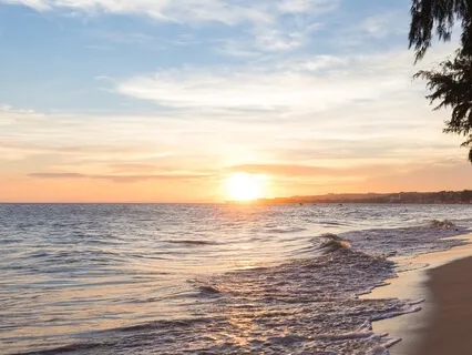 Yoga Nidra – Rotation of Consciousness