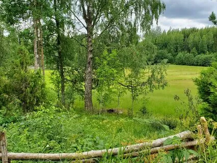 Yoga Nidra Sacred Healing Space