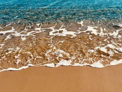 Yoga Nidra: Sanctuary