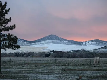 Yoga Nidra: Self-Compassion