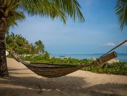 Yoga Nidra: Sensory Dream Journey