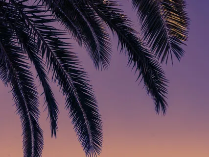 Yoga Nidra: Shadow Work Visualization