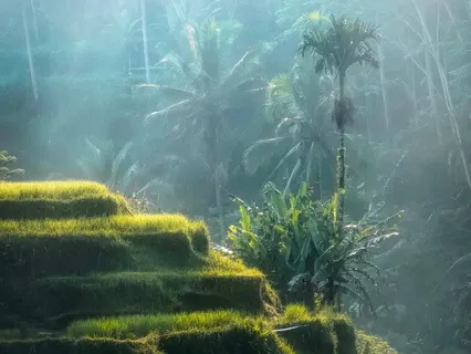 Yoga Nidra Shakti Meditation