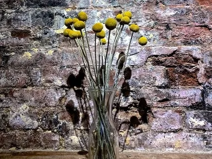 Yoga Nidra - Short Form