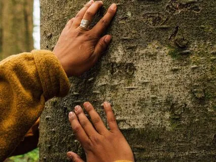 Yoga Nidra | Short Nidra For When You Need A Moment