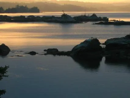 Yoga Nidra: Sitting Beside Your Younger Self