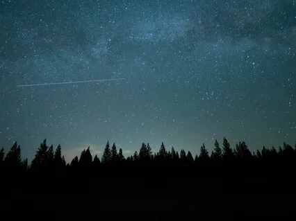 Yoga Nidra For Better Sleep (No Background Music)