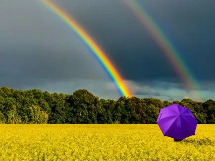 Yoga Nidra Sleep: Nervous System Resilience & Somatic Healing