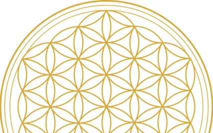 Yoga Nidra-Sleepy Time