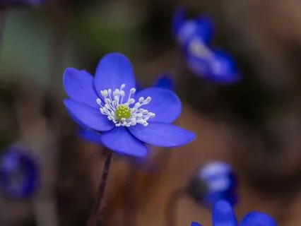 Yoga Nidra: Soothe Your Nerves & Sleep Sound