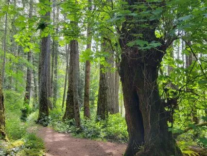 Yoga Nidra | Soothe Your Nervous System