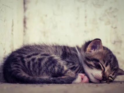 Yoga Nidra: Soothing The Nervous System 528Hz