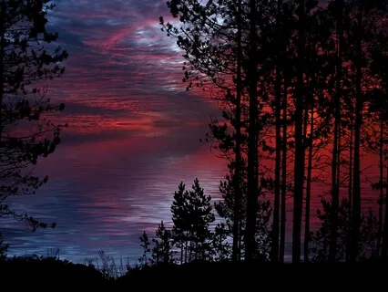 Yoga Nidra Space & Silence