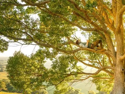 Yoga Nidra: Space To Rest