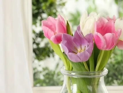 Yoga Nidra Spring Rest With Self-Compassion