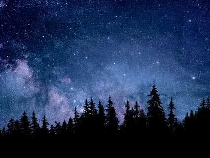 Yoga Nidra: Starlight, Moonlight & Deep Sleep