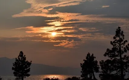 Yoga Nidra - Steadiness & Ease