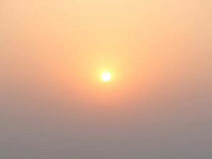 Yoga Nidra - Taking Flight