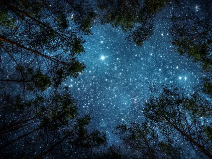 Yoga Nidra - Tapping Into Every Sense