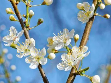 Yoga Nidra: Temple Of The Moon Priestess