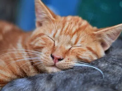 Yoga Nidra Ten Minute Power Nap