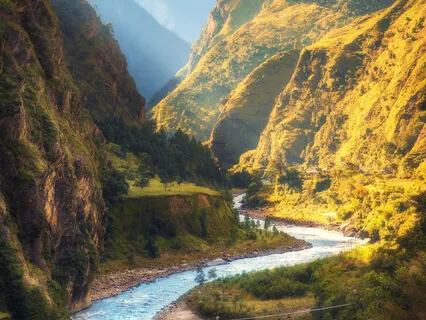 Yoga Nidra | The Art Of Conscious Relaxation 