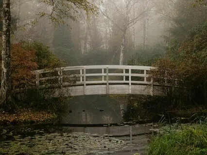 Yoga Nidra: The Bridge To Sleep