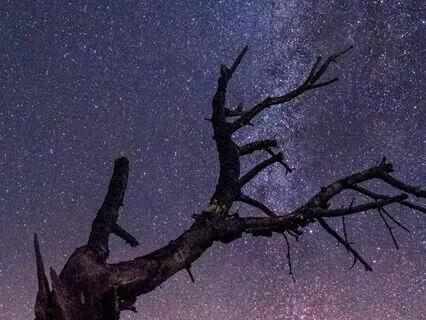 Yoga Nidra: The Constellation Of You