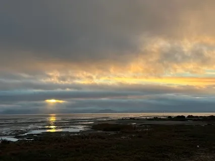 Yoga Nidra The Gift Of Now