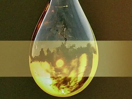 Yoga Nidra: The Golden Nectar Of Rest - English Female Voice