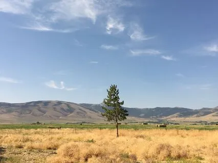 Yoga Nidra: The Hammock