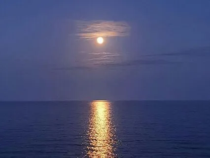 Yoga Nidra | The Journey Inwards