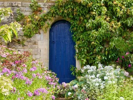 Yoga Nidra: The Secret Garden