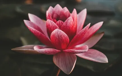 Yoga Nidra - The Strength Of Acceptance