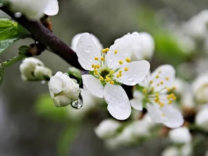 Yoga Nidra To Balance The Kapha Dosha