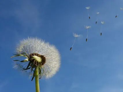 Yoga Nidra To Balance The Vata Dosha