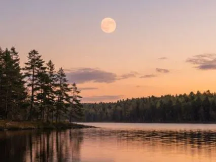 Yoga Nidra To Calm Evening Anxiety