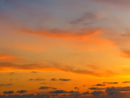 Yoga Nidra To Calm Your Mind (Voice Only)